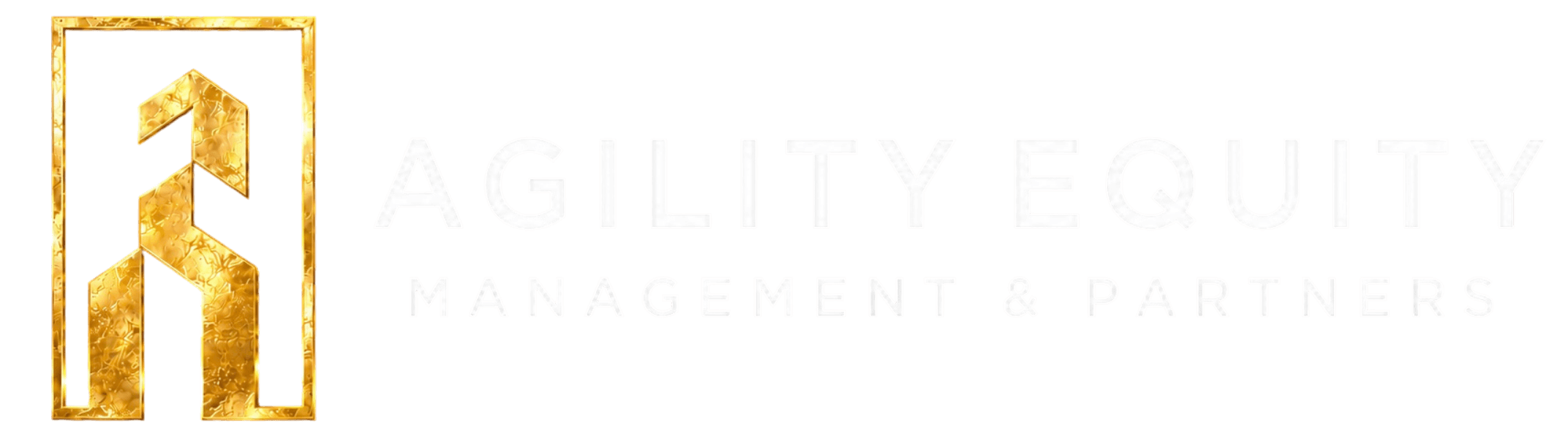 Agility Equity Management & Partners logo