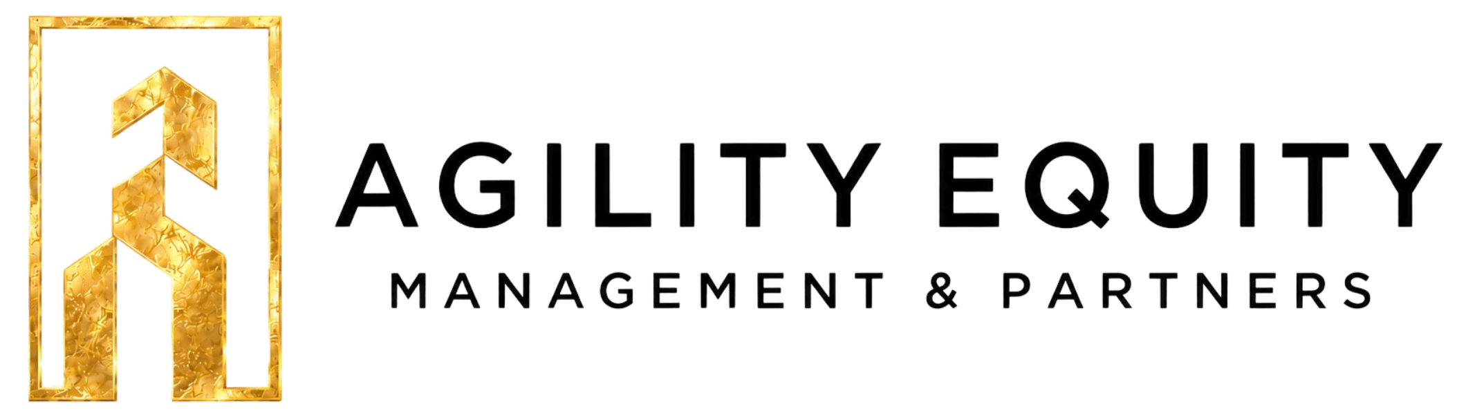 Agility Equity Management & Partners logo